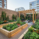 Modern Urban Garden with Timber Sleeper Raised Beds – Hertford & Harlow A contemporary urban garden design featuring new light-oak sleeper raised beds with integrated LED lighting and a timber pergola. Ideal for small courtyards in Hertford and Harlow.